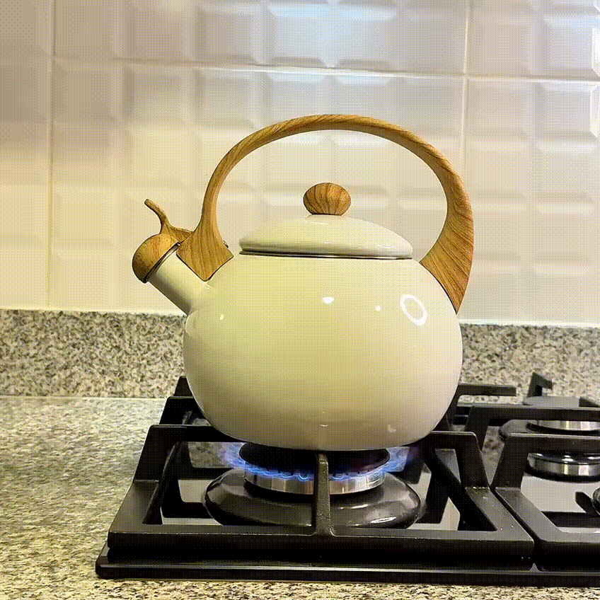 Tetera Amalia - 2.5 L (Marca RECORD®)