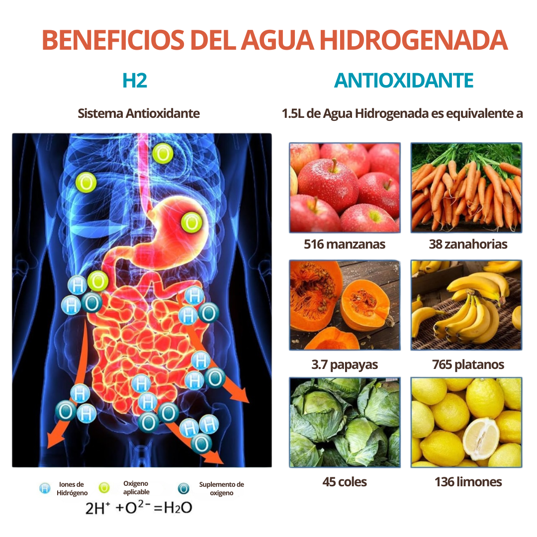 Botella generadora de Hidrógeno. (Maquina Ionizadora) 500 ml - Múltiples beneficios para tu salud